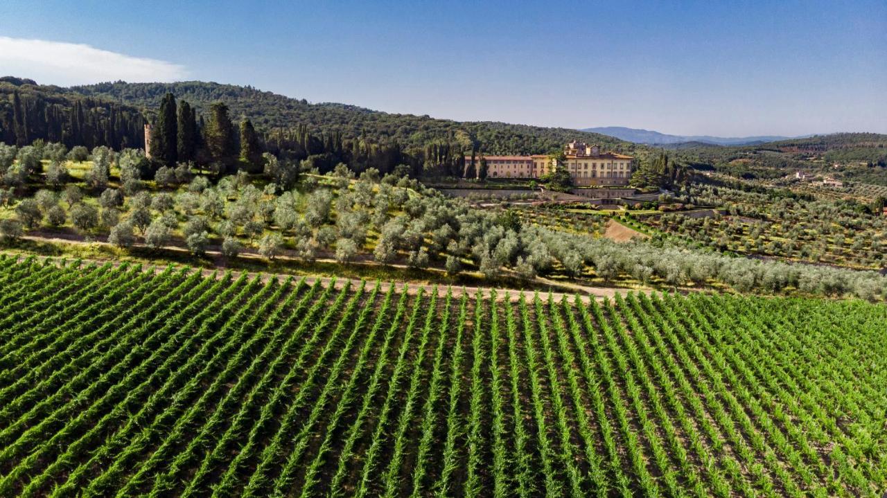 Torre A Cona Wine Estate Hotell San Donato in Collina Exteriör bild